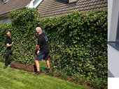 Zelené oplocení za jeden den? AS-GREEN FENCE – okamžité řešení živého plotu. Zdroj: ASIO Zelené oplocení za jeden den? AS-GREEN FENCE – okamžité řešení živého plotu. Zdroj: ASIO