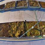 Obr. 1 – Pohled na vzorky vegetačních střech 12/2021 (každý 1,8 × 1,85 m). Spodní řada pro měření teplot, horní řada pro měření vodního režimu. Vzorek se štěrkem vlevo (1,2 × 1,2 m)
