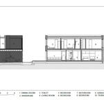 Kočka, pes a papoušek v čistém domě bez alergií. Hlavním materiálem je dřevo. Zdroj: OFIS Architects