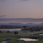 Rozhledna, z níž je vidět na lepší časy. Pozorují z ní přírodu v průmyslem zasažené krajině. Foto: Jim Stephenson