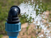 Zdroj: Adobestock – sir270 Zdroj: Adobestock – sir270