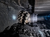 Ilustrační obrázek, zdroj: nordroden, AdobeStock Ilustrační obrázek, zdroj: nordroden, AdobeStock