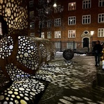 Rusty Flowers. Zdroj: Copenhagen Light Festival 2026 Rusty Flowers. Zdroj: Copenhagen Light Festival 2026