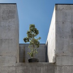 Život v kostce. Casa Rocha se vymyká konvencím. Je to špatně? Foto: Ivo Tavares Studio Život v kostce. Casa Rocha se vymyká konvencím. Je to špatně? Foto: Ivo Tavares Studio