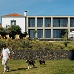 Život v kostce. Casa Rocha se vymyká konvencím. Je to špatně? Foto: Ivo Tavares Studio Život v kostce. Casa Rocha se vymyká konvencím. Je to špatně? Foto: Ivo Tavares Studio