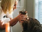 Zdroj: Lindström Czech Republic Zdroj: Lindström Czech Republic